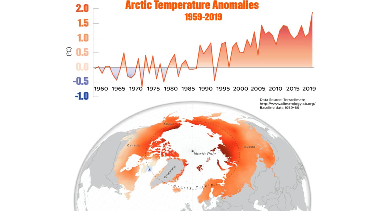 Arctic temperature anomalies have greatly increased since 1959.