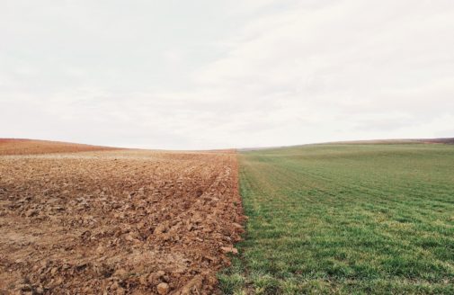 farmland of crop field next to meadow.