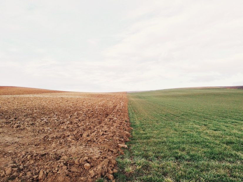 farmland of crop field next to meadow.