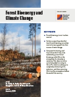 Forest Bioenergy and Climate Change pdf cover