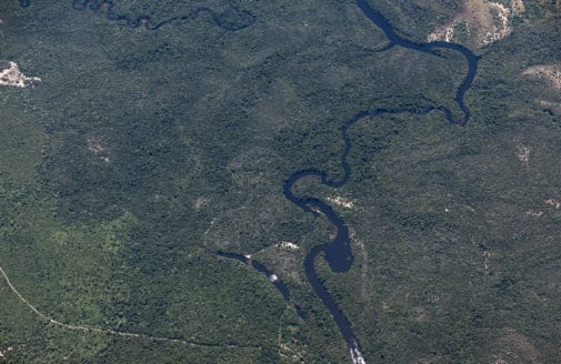 high aerial photo of Amazon forest by Paulo Brando