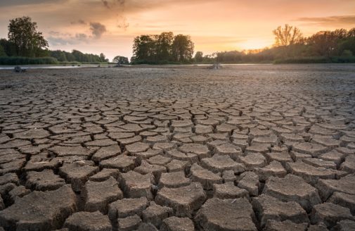 dry and cracked lake bed