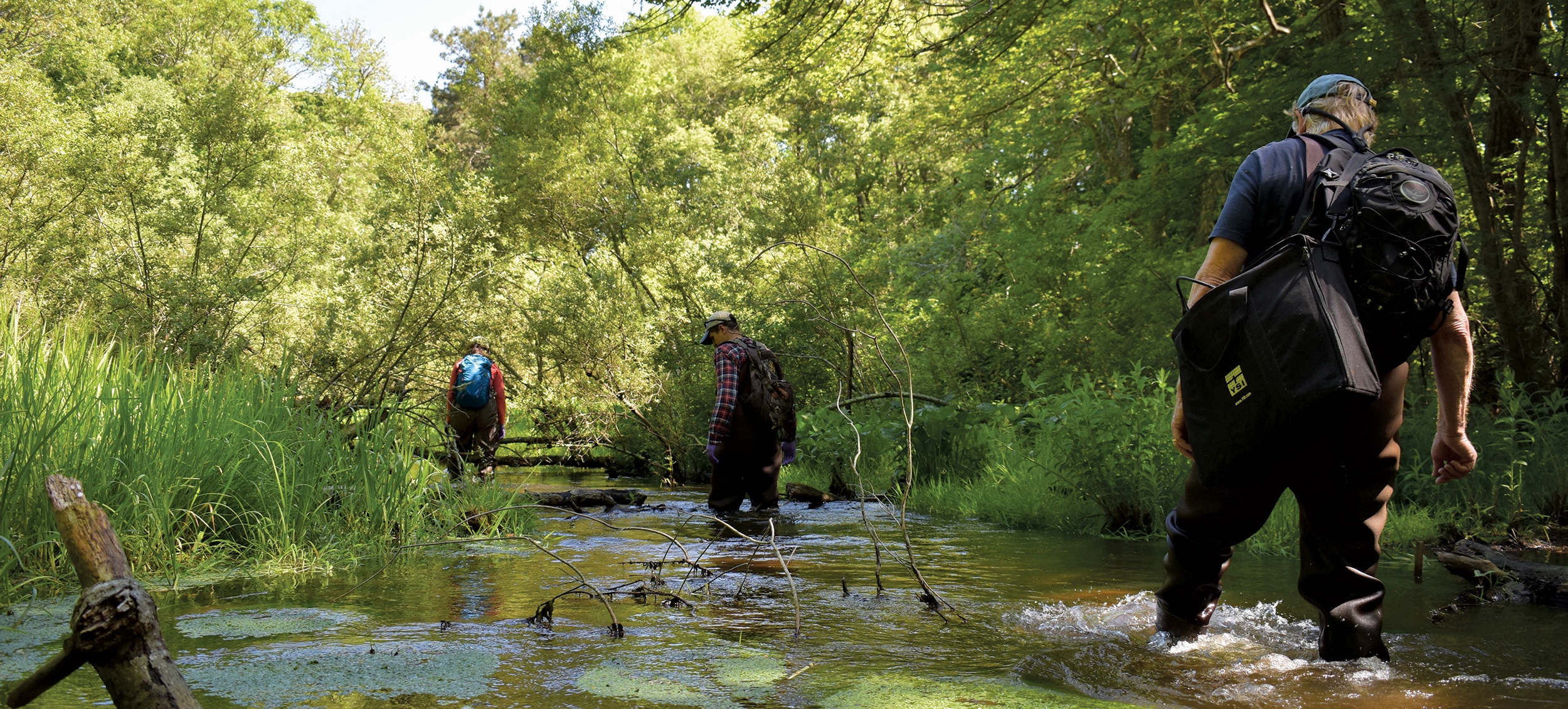 Sampling the Santuit River in Mashpee, MA.