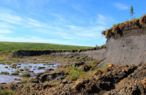 slumped permafrost in Alaska / photo by Scott Zolkos