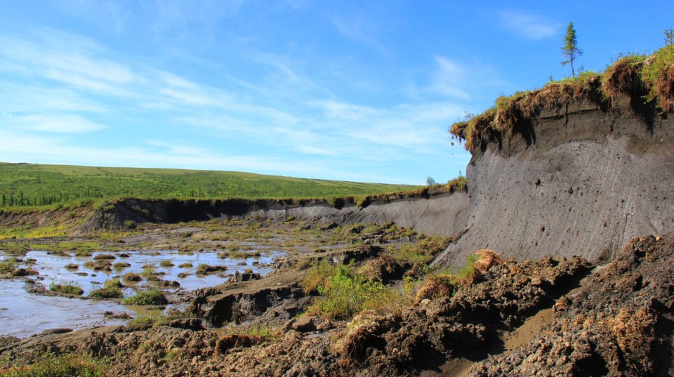 slumped permafrost in Alaska / photo by Scott Zolkos