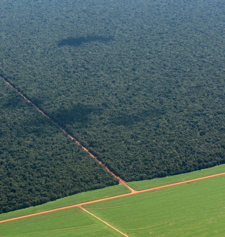 Where agriculture meets rainforest in the Amazon / photo by Paulo Brando