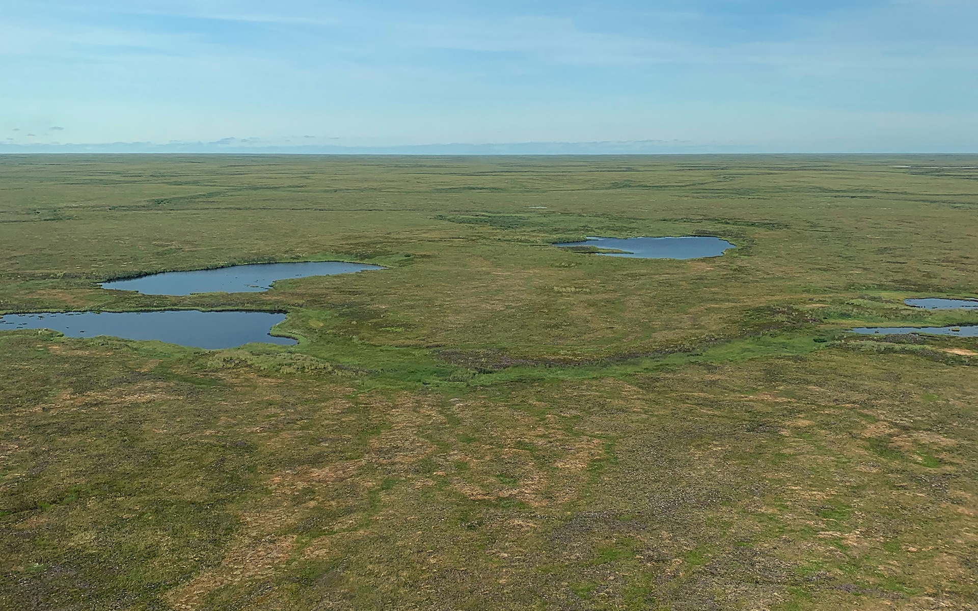 aerial view of Arctic tundra in summer