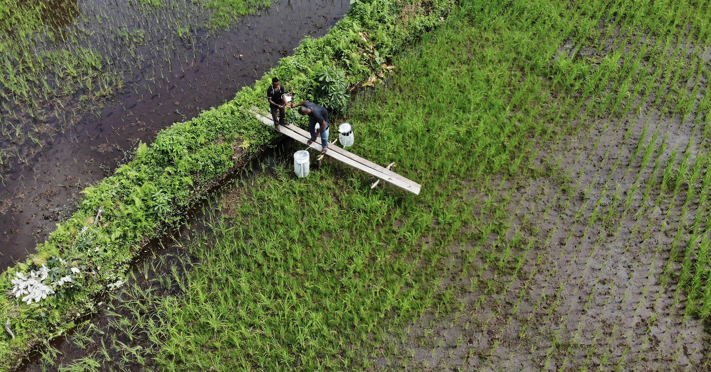 Monitoring methane collection chambers in the DRC. / photo by Joseph Zambo and Matti Barthel