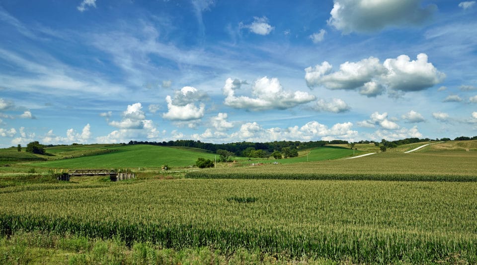 Iowa farmland