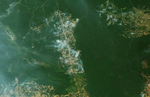 NASA Earth Observatory (MODIS Terra natural-color image, August 9, 2019 near Novo Progresso, Pará, Brazil).