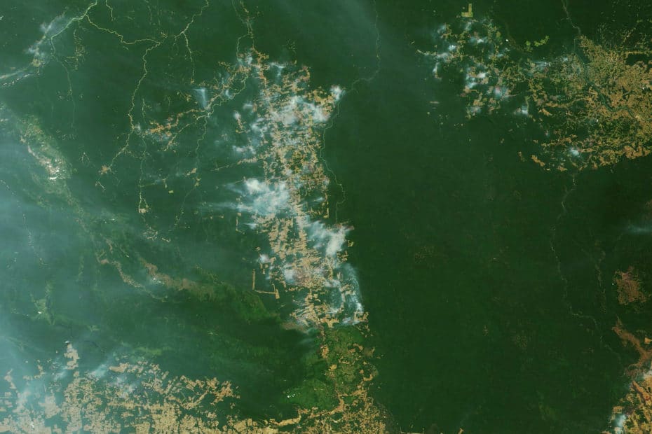 NASA Earth Observatory (MODIS Terra natural-color image, August 9, 2019 near Novo Progresso, Pará, Brazil).