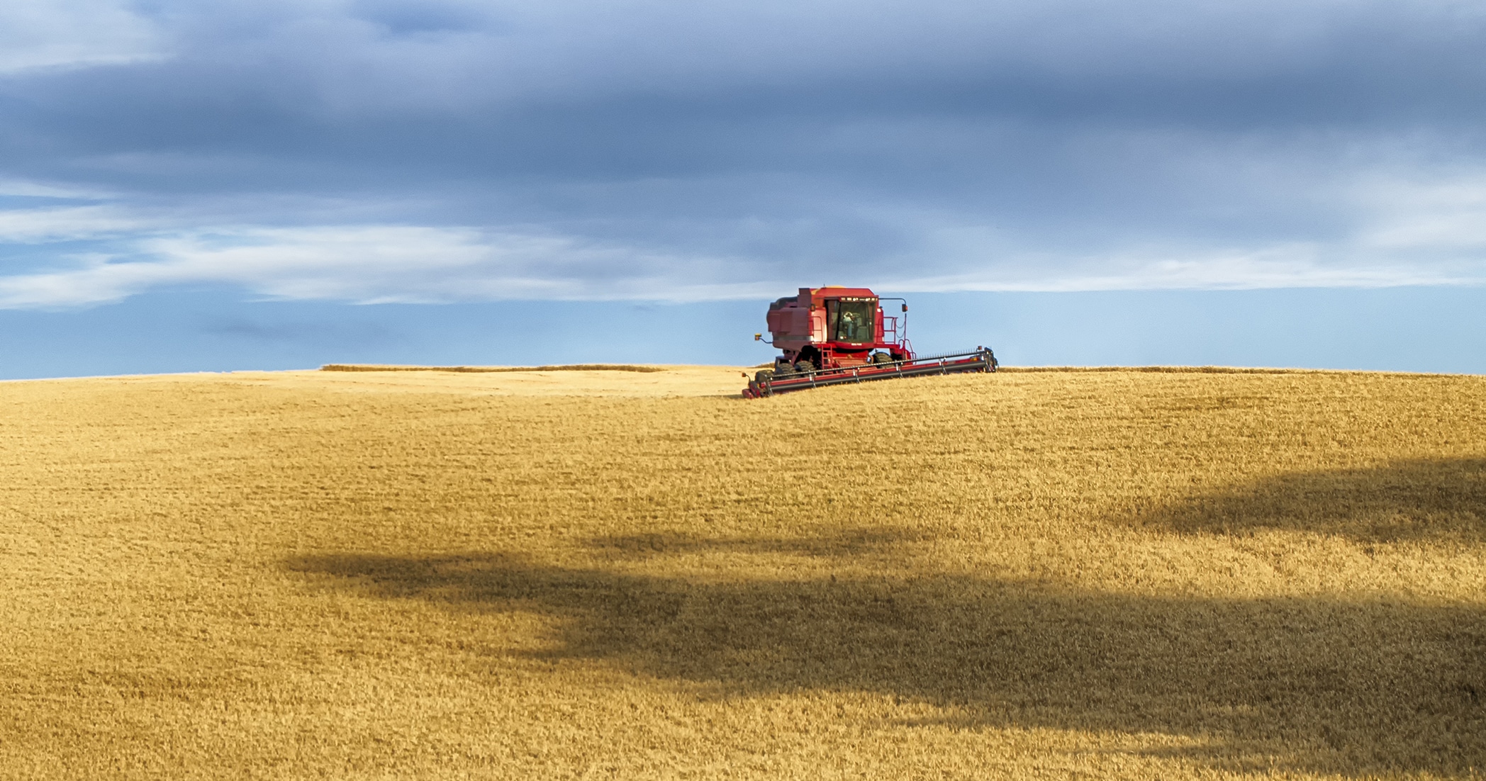 Idaho wheat harvesting