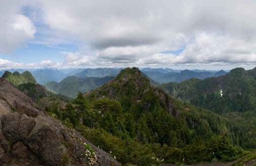 jefferson county washington forest and mountain peaks