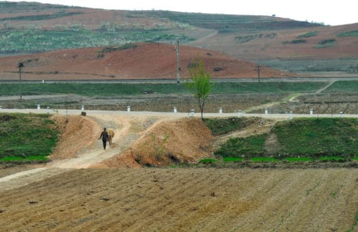 A soldier leads an ox through fields outside Pyongyang. Photo by Oleg Znamenskiy