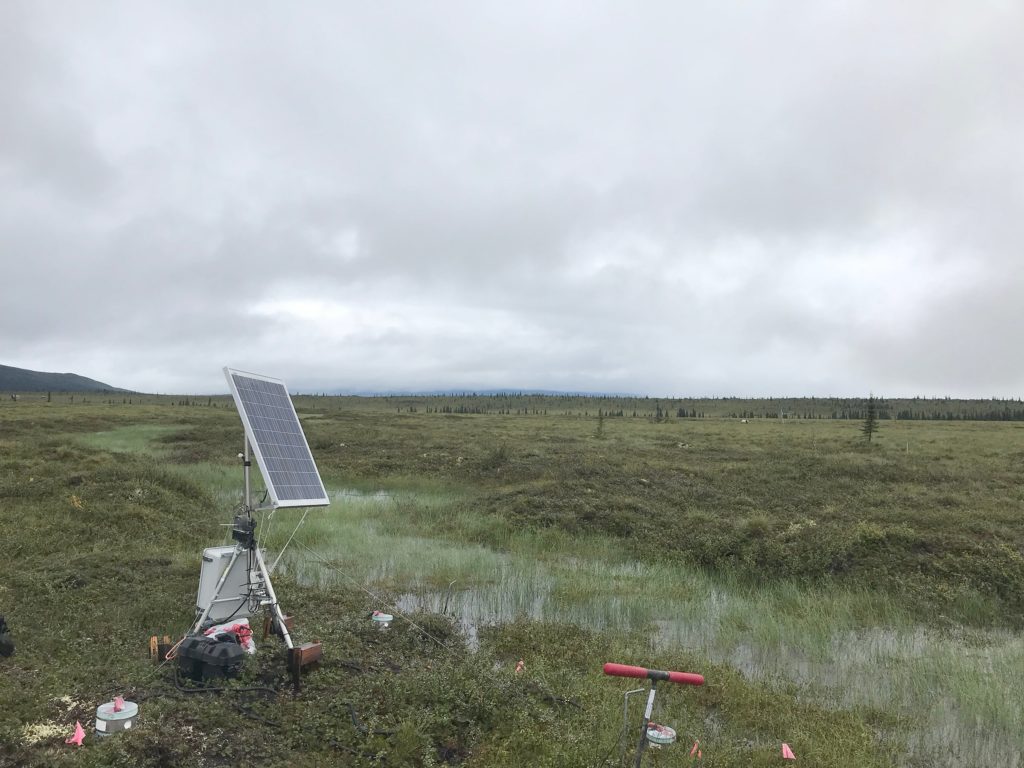 Flux tower at Alaska's Eight Mile Lake. Photo by Dr. Jennifer Watts