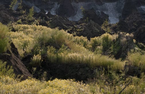 Permafrost in Siberia. Photo by Chris Linder