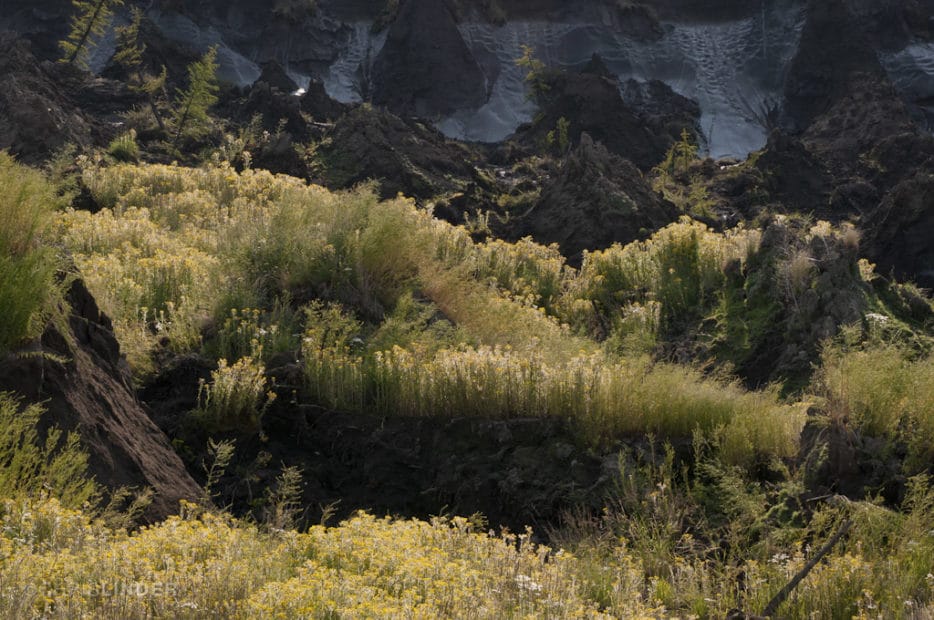 Permafrost in Siberia. Photo by Chris Linder