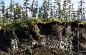 exposed permafrost