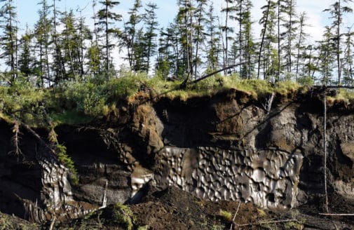 exposed permafrost