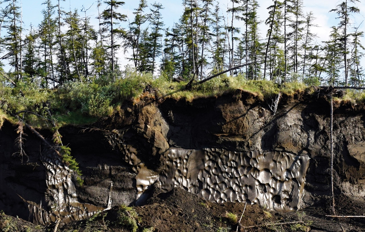 exposed permafrost