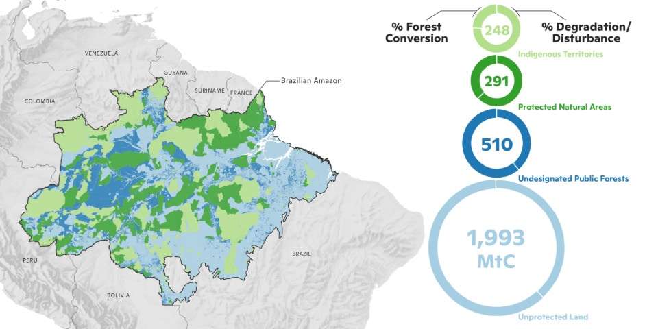 Map of forestc conversion and degradation