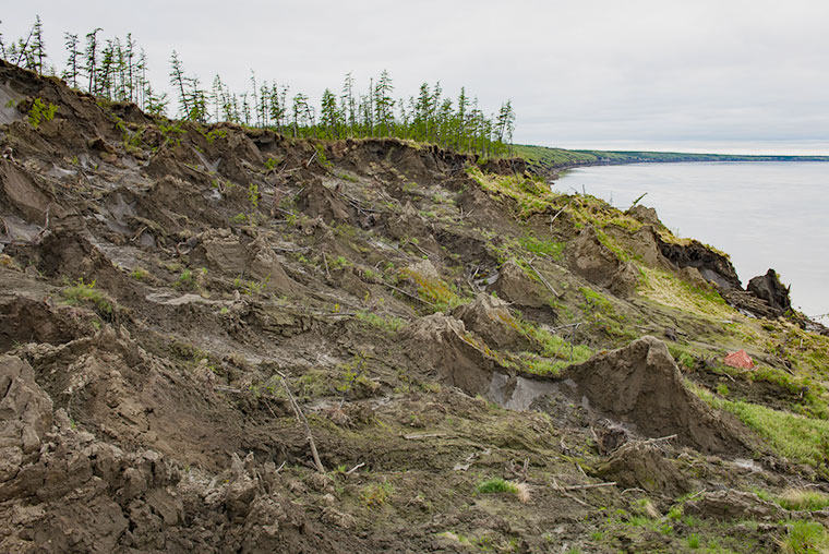 slumping Arctic coastline, photo by Chris Linder