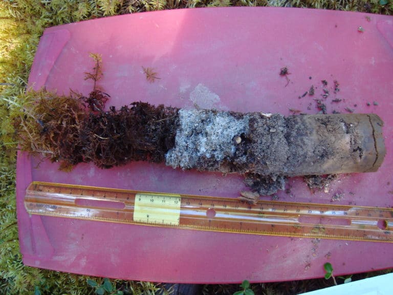 soil core showing thick organic layer