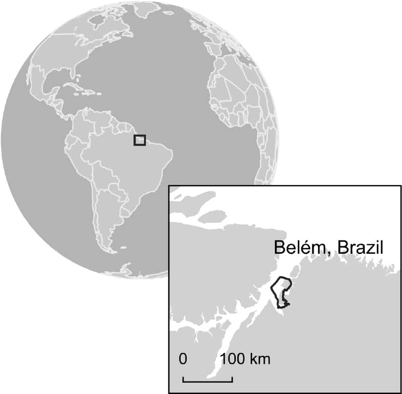 Belem, Para, Brazil