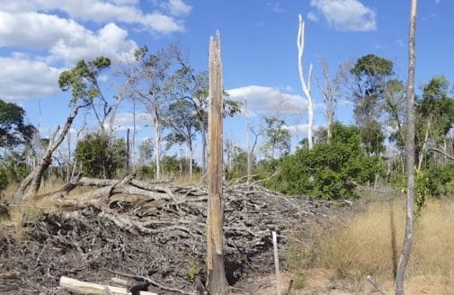 Amazon deforestation, photo by Paulo Brando