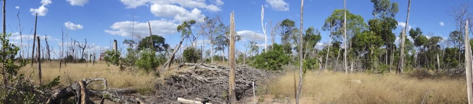 Amazon deforestation, photo by Paulo Brando