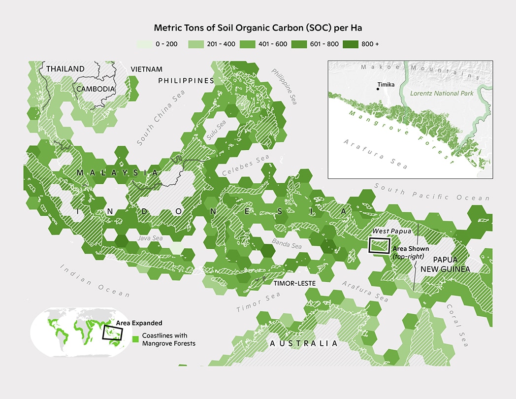 Southeast Asia map of soil organic carbon (SOC)