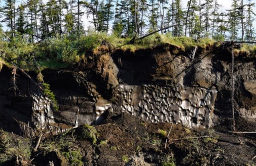 Exposed thawing permafrost, photo by Chris Linder