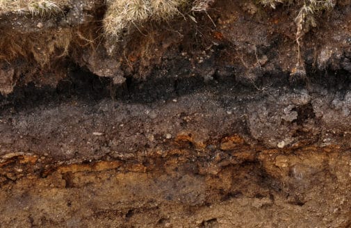 cross-section of soil layers