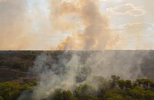 Pantanal fire, photo by Illuminati Filmes