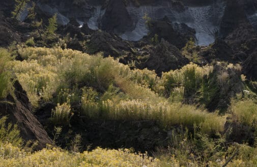 Exposed thawing Siberian permafrost, photo by Chris Linder