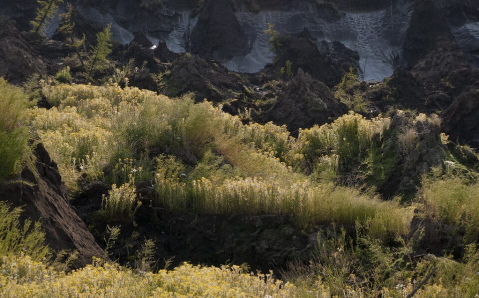 Exposed thawing Siberian permafrost, photo by Chris Linder