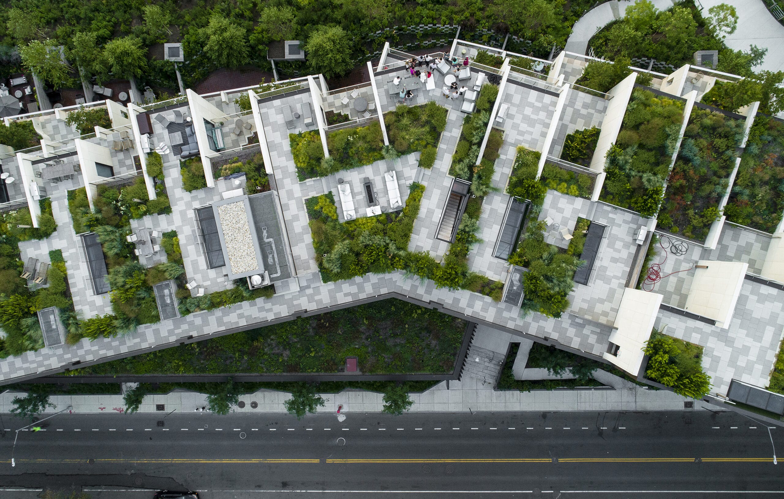 Rooftops plantings in Brooklyn, New York. Photo by Alex Potemkin