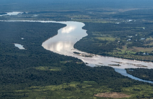 Amazonian river viewed from the air