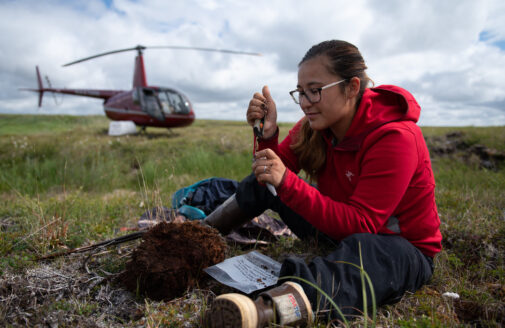 darcy peter in the field in alaska