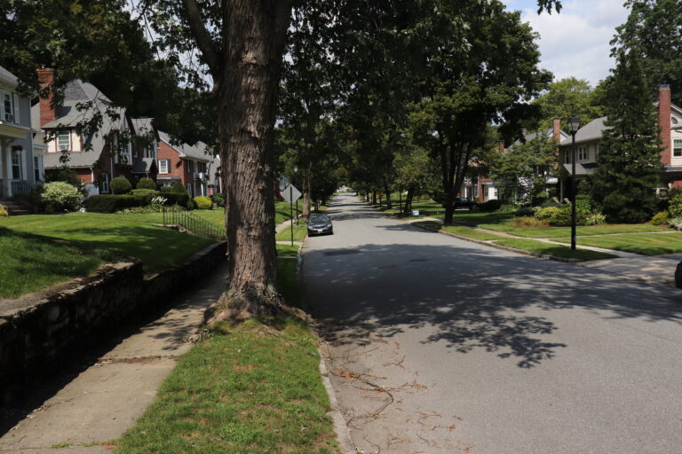 residential street in shade of tree in worcester