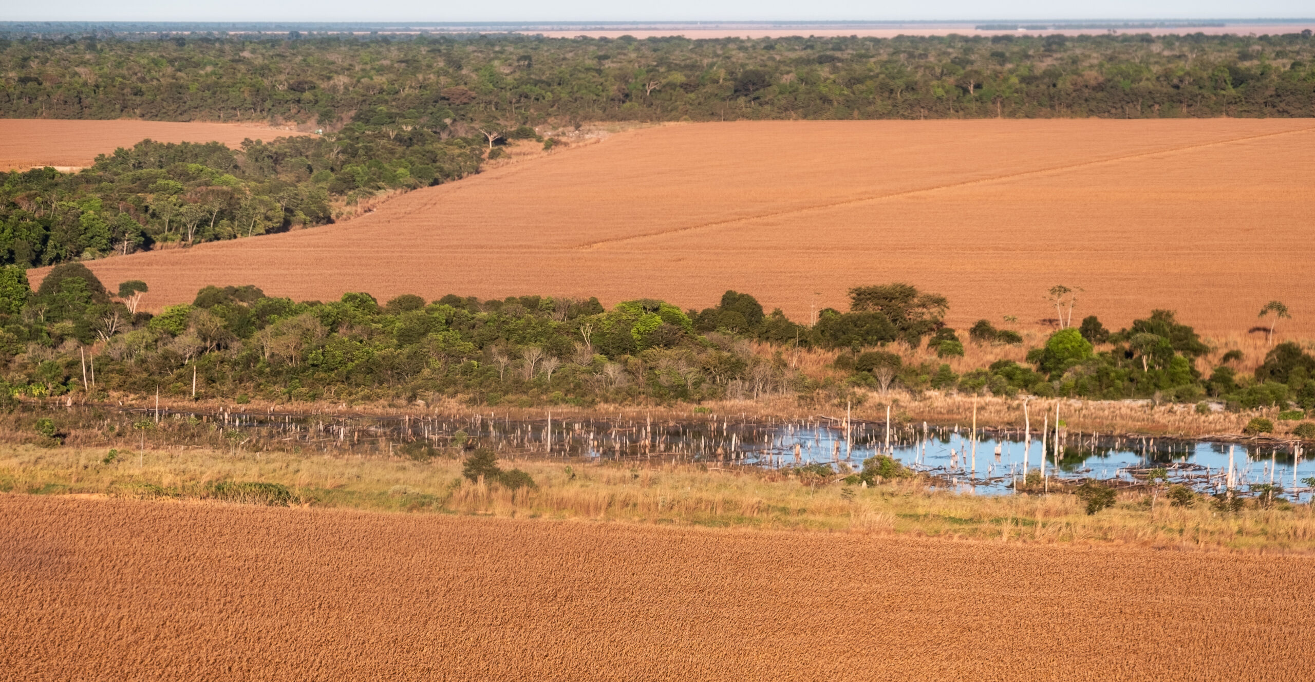 stream, cropland and forest in Tanguro ranch research station