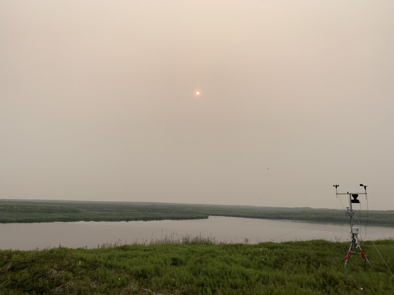 polaris study site during fires 2019