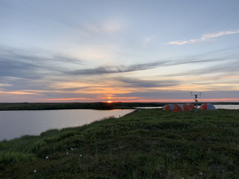 polaris study site before fires in 2019