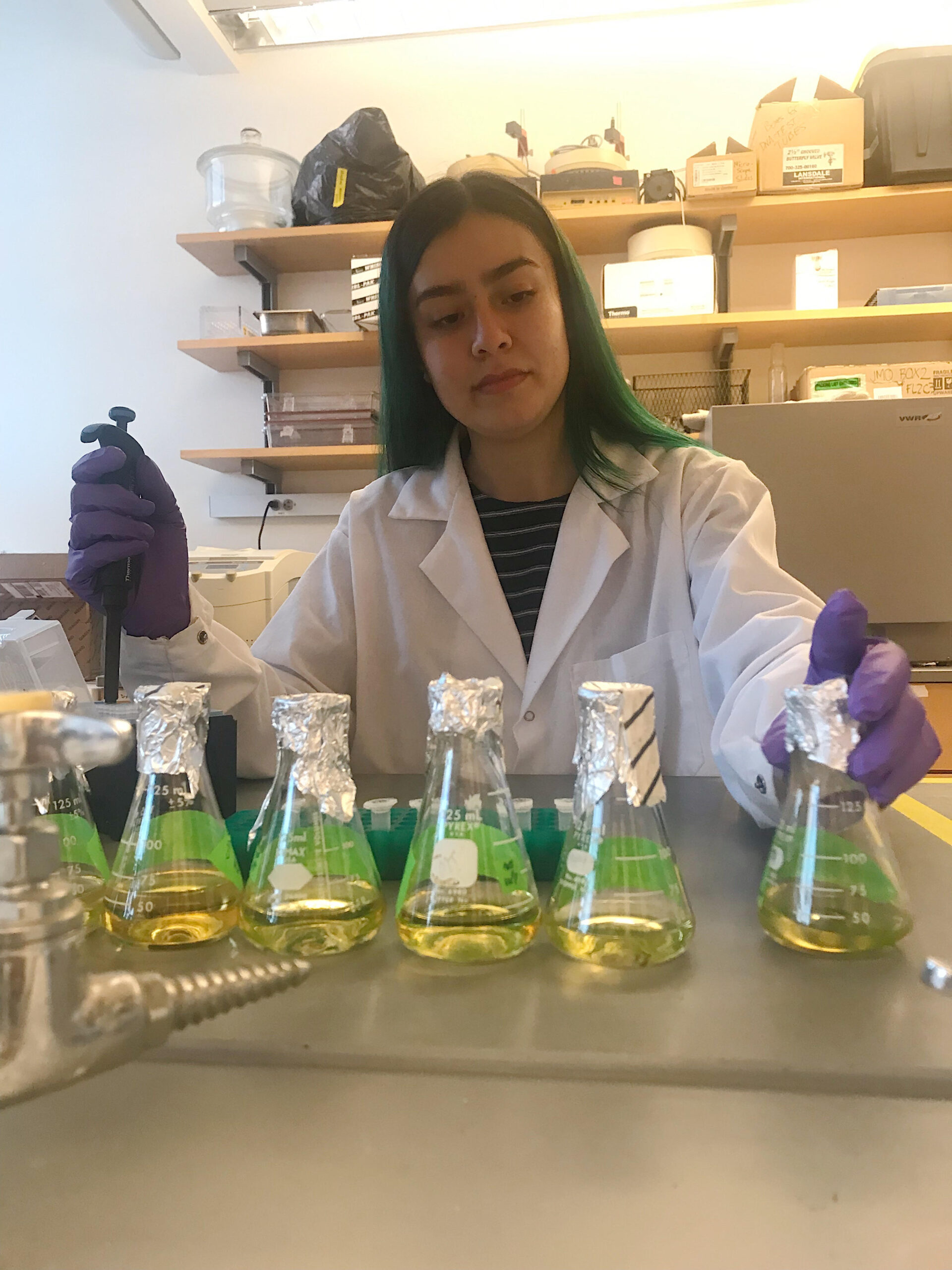 Alma hernandez at work in her lab