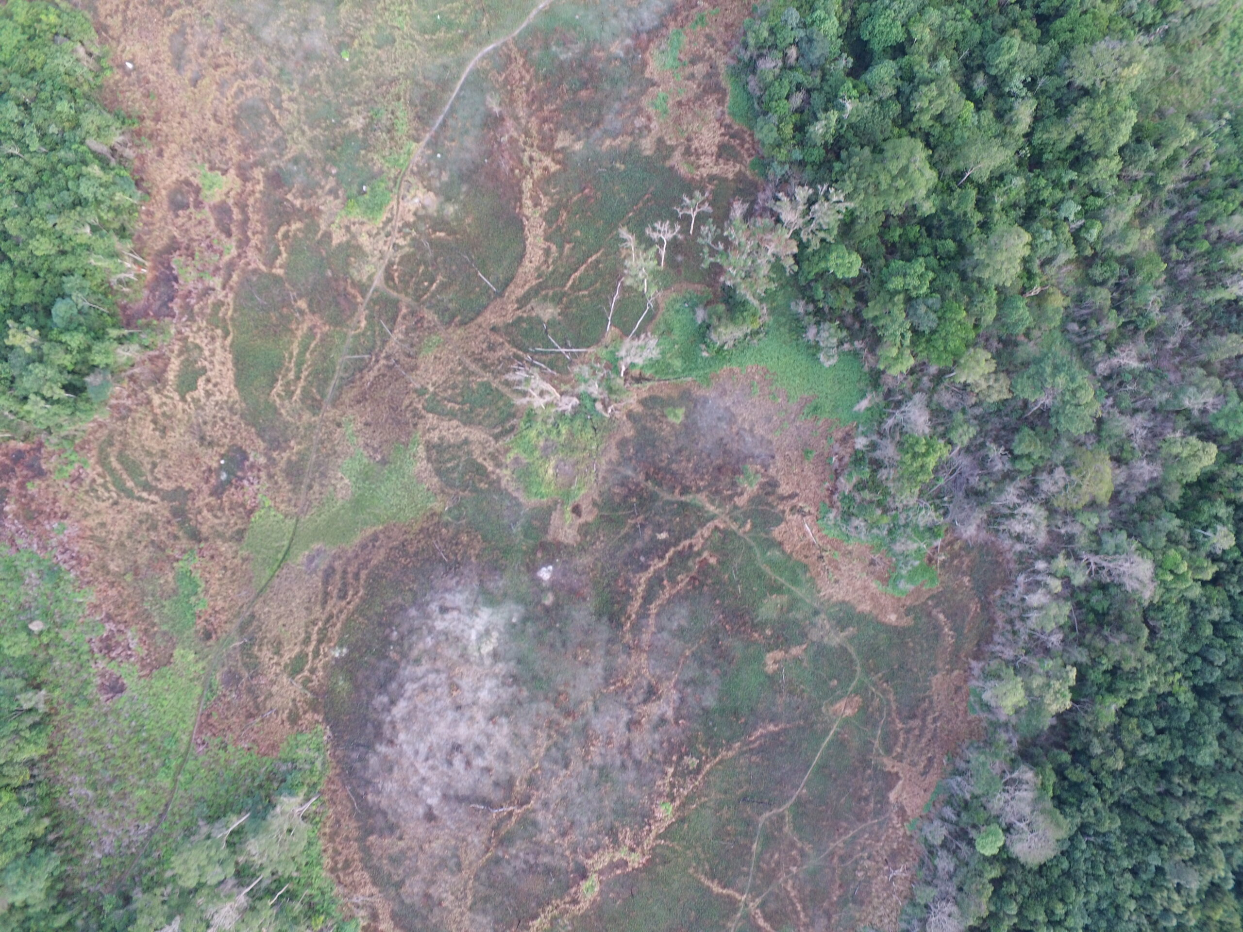 fire scar in the xingu