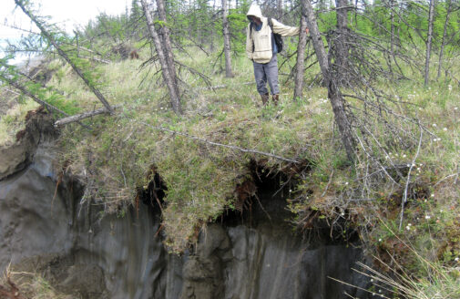 Exposed permafrost thaw.