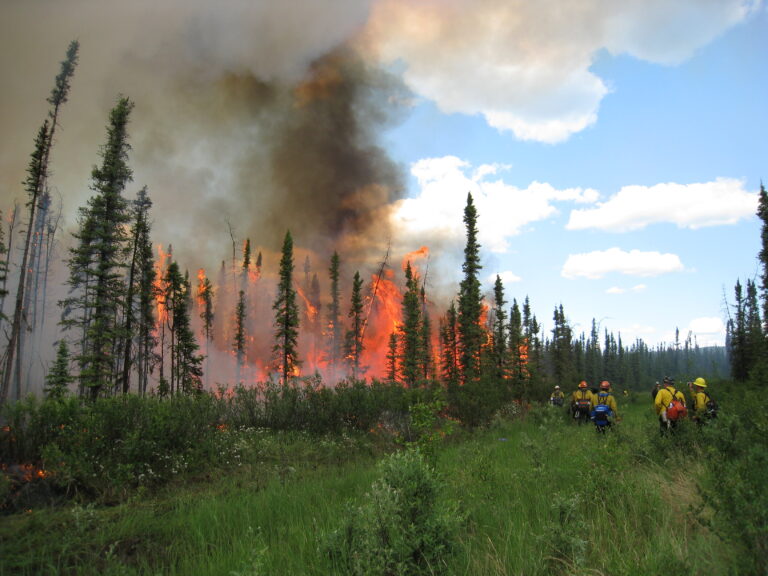 firefighters burn areas to limit fuel