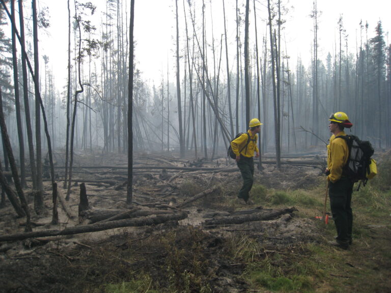 researchers studying burn severity after a fire