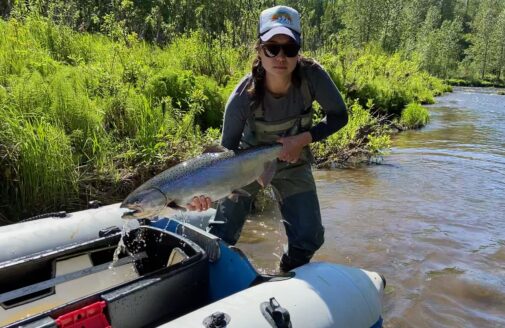 Taking measures of Alaskan salmon, photo by Madeleine Lee