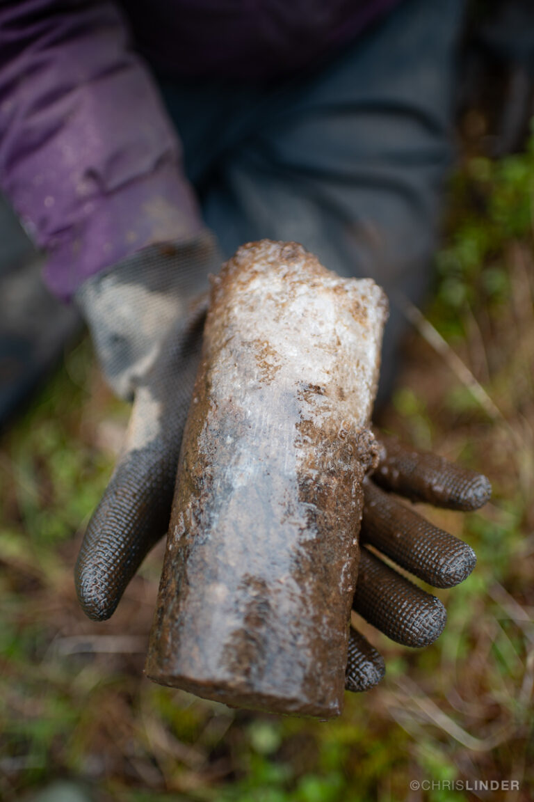 hand holding a permafrost core with visible ice